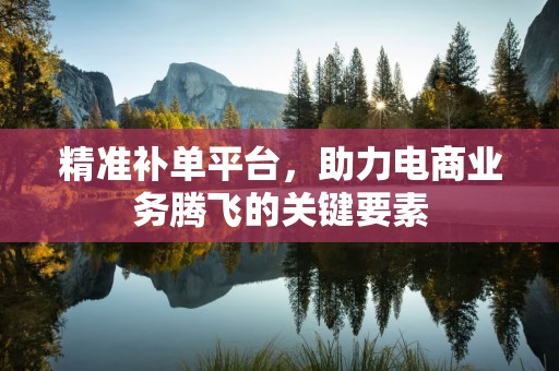 精准补单平台，助力电商业务腾飞的关键要素