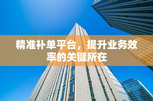 精准补单平台，提升业务效率的关键所在