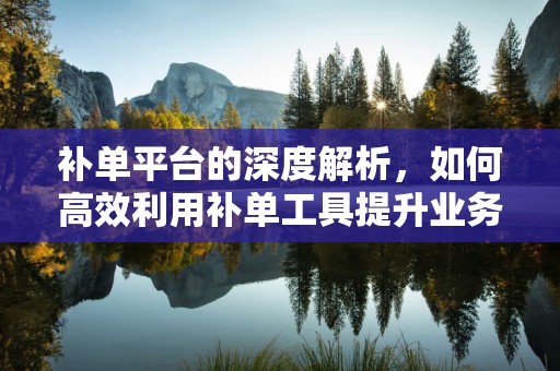 补单平台的深度解析，如何高效利用补单工具提升业务效率