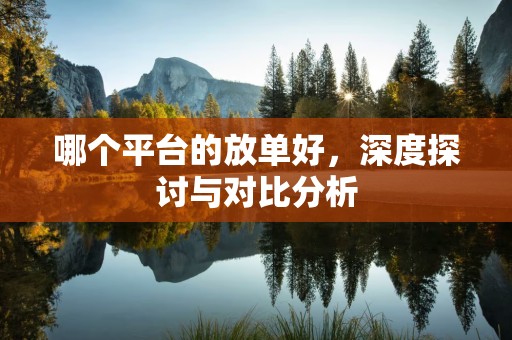 哪个平台的放单好，深度探讨与对比分析