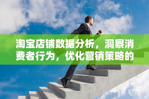 淘宝店铺数据分析，洞察消费者行为，优化营销策略的关键