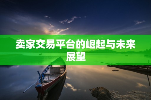 卖家交易平台的崛起与未来展望