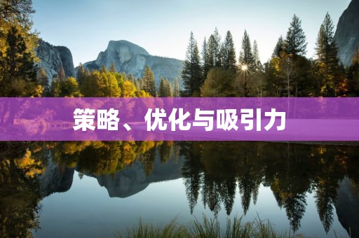 策略、优化与吸引力
