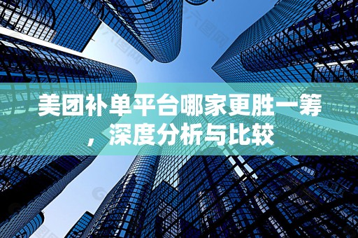 美团补单平台哪家更胜一筹，深度分析与比较