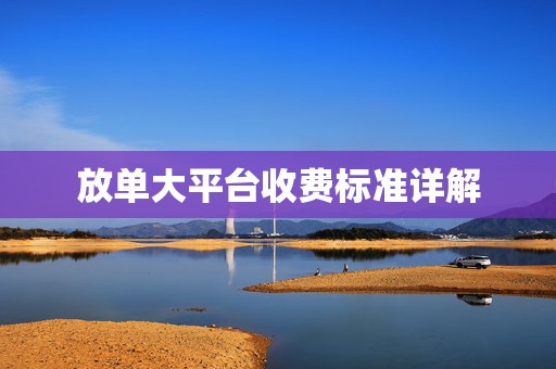 放单大平台收费标准详解