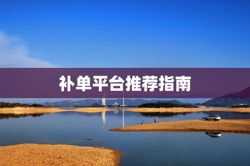 补单平台推荐指南