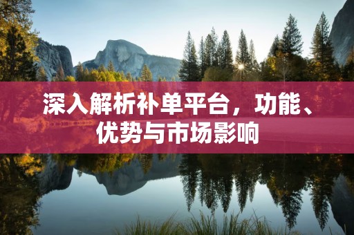 深入解析补单平台，功能、优势与市场影响