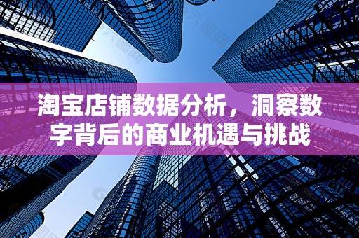 淘宝店铺数据分析，洞察数字背后的商业机遇与挑战