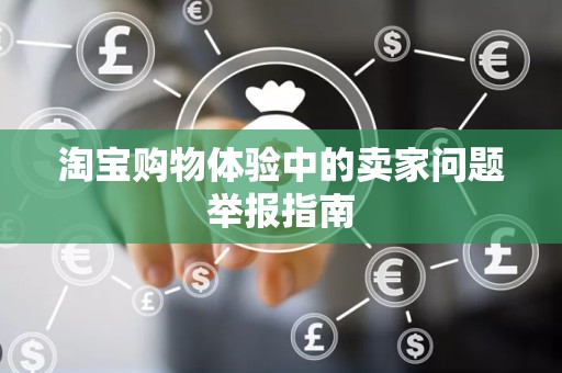 淘宝购物体验中的卖家问题举报指南