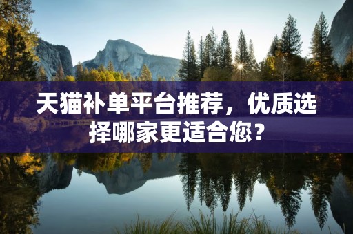 天猫补单平台推荐，优质选择哪家更适合您？