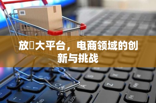 放單大平台，电商领域的创新与挑战