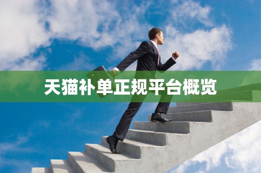 天猫补单正规平台概览