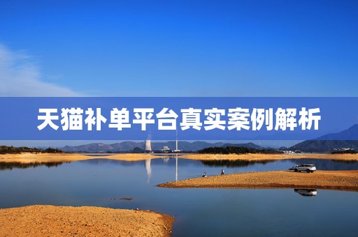 天猫补单平台真实案例解析