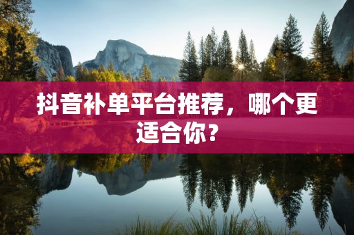 抖音补单平台推荐，哪个更适合你？