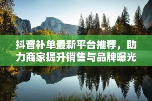 抖音补单最新平台推荐，助力商家提升销售与品牌曝光