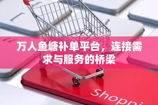 万人鱼塘补单平台，连接需求与服务的桥梁