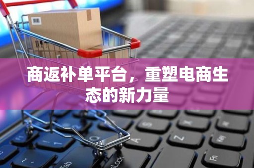 商返补单平台，重塑电商生态的新力量