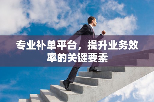 专业补单平台，提升业务效率的关键要素