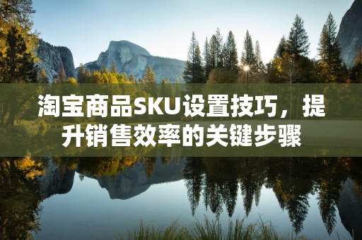 淘宝商品SKU设置技巧，提升销售效率的关键步骤