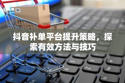 抖音补单平台提升策略，探索有效方法与技巧