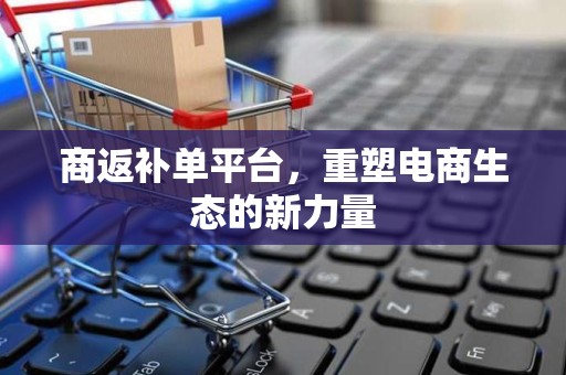 商返补单平台，重塑电商生态的新力量