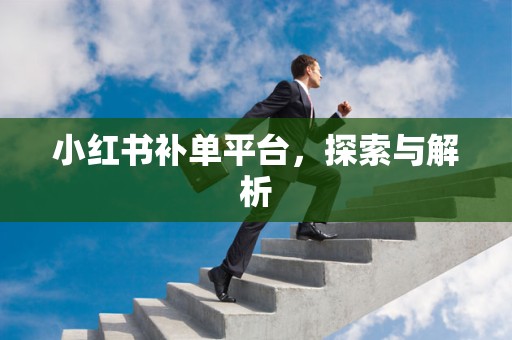 小红书补单平台，探索与解析