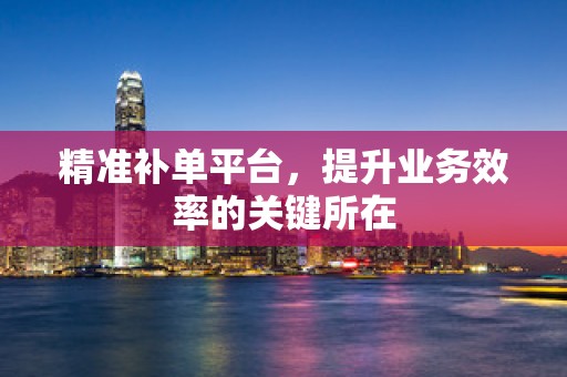精准补单平台，提升业务效率的关键所在