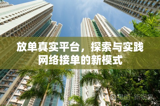 放单真实平台，探索与实践网络接单的新模式