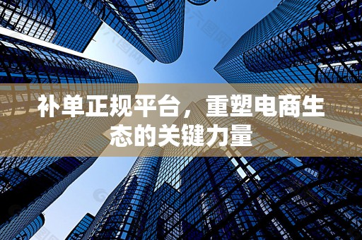 补单正规平台，重塑电商生态的关键力量