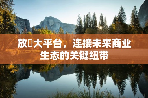 放單大平台，连接未来商业生态的关键纽带