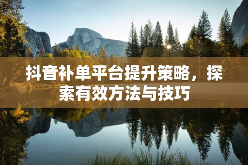 抖音补单平台提升策略，探索有效方法与技巧