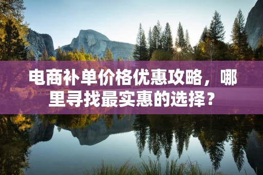 电商补单价格优惠攻略，哪里寻找最实惠的选择？