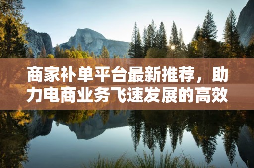 商家补单平台最新推荐，助力电商业务飞速发展的高效工具