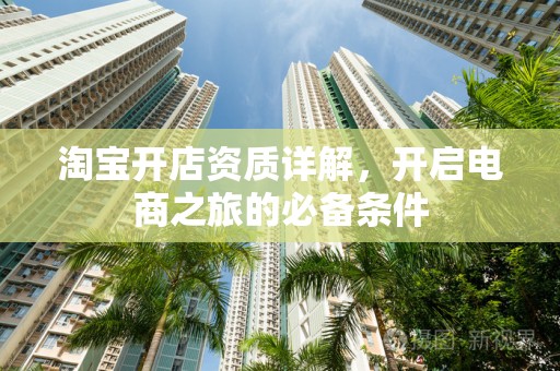 淘宝开店资质详解，开启电商之旅的必备条件