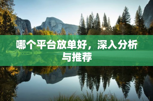 哪个平台放单好，深入分析与推荐