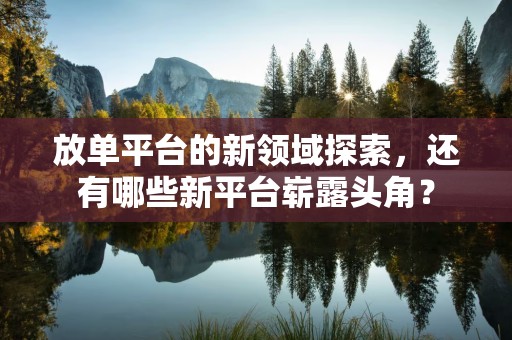 放单平台的新领域探索，还有哪些新平台崭露头角？