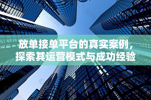放单接单平台的真实案例，探索其运营模式与成功经验