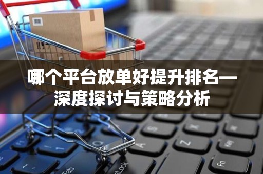 哪个平台放单好提升排名—深度探讨与策略分析