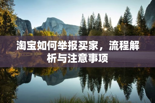 淘宝如何举报买家，流程解析与注意事项