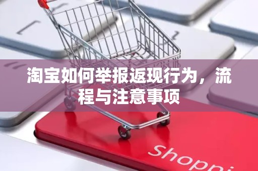 淘宝如何举报返现行为，流程与注意事项