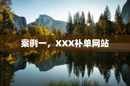 案例一，XXX补单网站