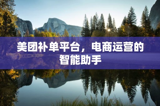 美团补单平台，电商运营的智能助手