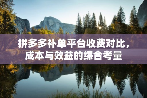 拼多多补单平台收费对比，成本与效益的综合考量