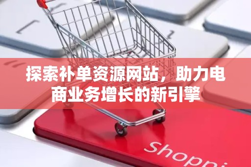 探索补单资源网站，助力电商业务增长的新引擎