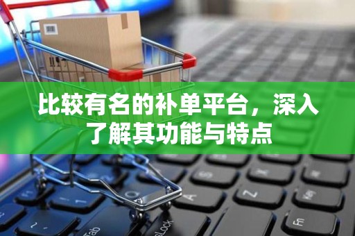 比较有名的补单平台，深入了解其功能与特点