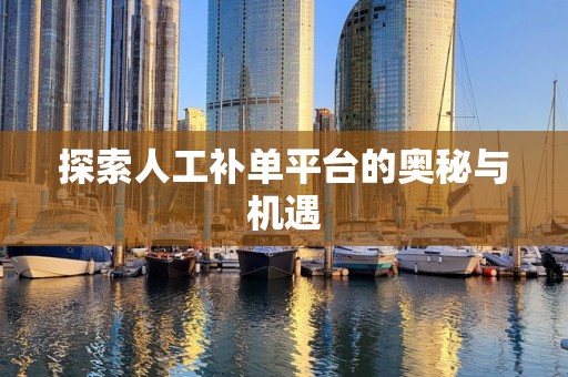 探索人工补单平台的奥秘与机遇