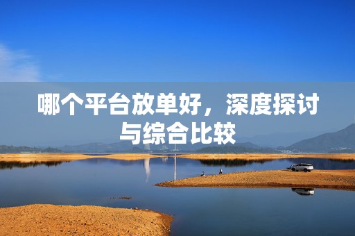 哪个平台放单好，深度探讨与综合比较