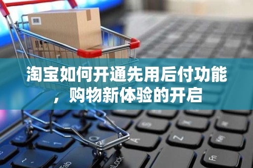淘宝如何开通先用后付功能，购物新体验的开启