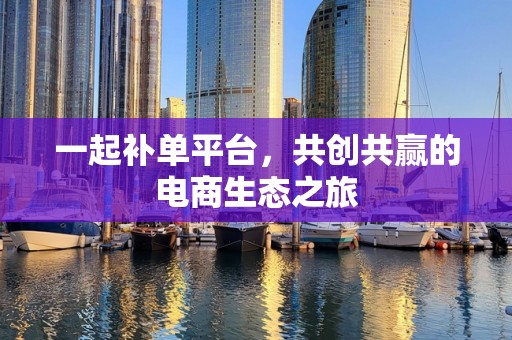 一起补单平台，共创共赢的电商生态之旅