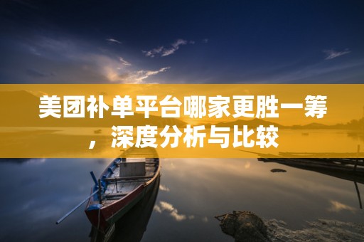 美团补单平台哪家更胜一筹，深度分析与比较